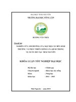 Nghiên cứu ảnh hưởng của mật độ cấy đến khả năng sinh trưởng và phát triền của giống lúa QP05 trong vụ đông xuân năm 2015 tại Thái Nguyên (Khóa luận tốt nghiệp)