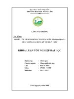 Nghiên cứu tái sinh giống cây Chùm Ngây (Moringa oleifera L.) chất lượng cao bằng kỹ thuật in vitro (Khóa luận tốt nghiệp)