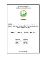 Nghiên cứu ảnh hưởng của quy trình kĩ thuật canh tác đến sinh trưởng và phát triển của giống cà chua TN386 trong điều kiện trái vụ tại Thái Nguyên (Khóa luận tốt nghiệp)