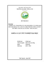 Nghiên cứu ảnh hưởng của mật độ trồng và lượng đạm bón cho khoai tây canh tác theo phương thức làm đất tối thiểu năm 2014 tại Võ Nhai  Thái Nguyên (Khóa luận tốt nghiệp)