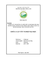 Nghiên cứu ảnh hưởng của phân hữu cơ sinh học đến sinh trưởng giống chè Kim Tuyên thời kỳ kiến thiết cơ bản tại trường Đại học Nông Lâm Thái Nguyên (Khóa luận tốt nghiệp)