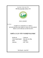 Nghiên cứu ảnh hưởng của thời vụ đến sinh trưởng, phát triển của hoa lily Yelloween vụ Xuân Hè 2014 tại Thái Nguyên (Khóa luận tốt nghiệp)