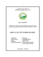 Nghiên cứu khả năng nhân giống cây Giảo cổ lam Gynostemma pentaphyllum bằng phương pháp in vitro (Khóa luận tốt nghiệp)