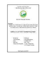 Nghiên cứu ảnh hưởng của một số chất điều hòa sinh trưởng thực vật đến quá trình nhân nhanh in Vitro cây Đinh lăng lá nhỏ (Polyscias fructicosa (L.) Harms) (Khóa luận tốt nghiệp)