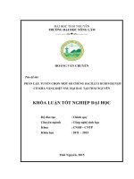 Phân lập, tuyển chọn một số chủng Bacillus thuringiensis có khả năng diệt sâu hại rau tại Thái Nguyên (Khóa luận tốt nghiệp)