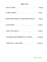 skkn một số GIẢI PHÁP TĂNG CƯỜNG HIỆU QUẢ VIỆC sử DỤNG đồ DÙNG dạy học TRONG môn mĩ THUẬT TIỂU học