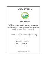 Nghiên cứu ảnh hưởng của phân viên nén đến sinh trưởng, năng suất và chất lượng giống sắn KM94 trên đất dốc tại huyện Văn Yên  tỉnh Yên Bái (Khóa luận tốt nghiệp)