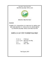Nghiên cứu ảnh hưởng của một số cây trồng xen đến sinh trưởng và năng suất của dong riềng tại trường Đại học Nông Lâm Thái Nguyên (Khóa luận tốt nghiệp)
