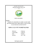 Nghiên cứu ảnh hưởng của chiều cao gốc ghép đến sinh trưởng phát triển giống cà chua Savior vụ Xuân Hè 2014 tại Thái Nguyên (Khóa luận tốt nghiệp)