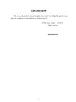 Nghiên cứu đặc tính nhiệt phân của gỗ keo và quá trình khí hóa tạo khí nhiên liệu (Luận án tiến sĩ)