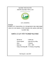 Nghiên cứu ảnh hưởng của tổ hợp phân NPK thích hợp cho cây con trong vườn ươm đối với giống chè PH10 tại Phú Thọ (khóa luận tốt nghiệp)