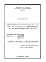ảnh hưởng của cảm nhận rủi ro và niềm tin về nguồn thông tin an toàn sản phẩm đến ý định mua đồ chơi trẻ em của người tiêu dùng 