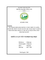 So sánh đặc điểm sinh trưởng và phát triển của giống chuối tiêu mới từ nguồn nguyên liệu ngoại nhập và giống chuối tiêu hồng trong vụ thu 2014 tại thị xã Sông Công – tỉnh Thái Nguyên (Khóa luận tốt nghiệp)