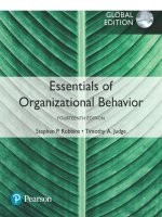 Giáo trình Essentials of organizational behavior 14th global edition by robbin judge