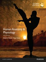 Human anatomy and physiology 10th by marieb hoehn