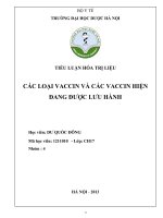 TIỂU LUẬN HÓA TRỊ LIỆU CÁC LOẠI VACCIN VÀ CÁC VACCIN HIỆN ĐANG ĐƯỢC LƯU HÀNH