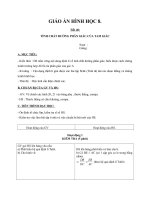 Giáo án Hình học 8 chương 3 bài 3: Tính chất đường phân giác của tam giác