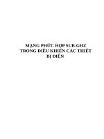 MẠNG PHỨC HỢP SUB-GHZ TRONG ĐIỀU KHIỂN CÁC THIẾT BỊ ĐIỆN (có code và sơ đồ mạch)