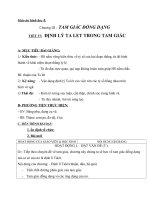 Giáo án Hình học 8 chương 3 bài 1: Định lí Talet trong tam giác