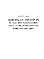 NGHIÊN cứu ẢNH HƯỞNG của các kỹ THUẬT ĐỊNH TUYẾN lên HOẠT ĐỘNG của hệ THỐNG vô TUYẾN NHẬN THỨC đa CHẶNG