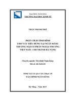 Phân tích tình hình cho vay tiêu dùng tại ngân hàng thương mại cổ phần ngoại thương việt nam   chi nhánh đà nẵng (tt) 