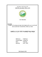 Nghiên cứu đánh giá một số tổ hợp ngô lai tại vụ xuân hè 2014 huyện Tam Đường  tỉnh Lai Châu (Khóa luận tốt nghiệp)