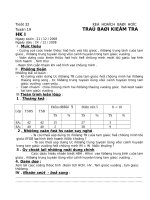 giáo án kế  hoạch trả bài kiểm tra học kỳ môn toán lớp 6