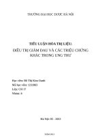 ĐIỀU TRỊ GIẢM ĐAU VÀ CÁC TRIỆU CHỨNG TRONG ĐIỀU TRỊ UNG THƯ