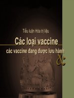 Tiểu luận Hóa trị liệu  Các loại vaccine các vaccine đang được lưu hành bản ppt