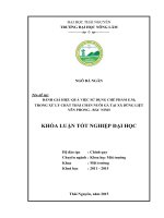 Đánh giá hiệu quả việc sử dụng chế phẩm E.M trong xử lý chất thải chăn nuôi gà tại xã Dũng liệt  Yên phong  Bắc Ninh (Khóa luận tốt nghiệp)