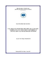 Các yếu tố ảnh hưởng đến hiệu quả làm việc nghiên cứu các công chức làm nhiệm vụ chuyên môn tại TP  HCM