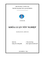 Hoàn thiện công tác tổ chức kế toán hàng hóa tại Công ty TNHH máy tính Tân An Thịnh Việt Nam (Khóa luận tốt nghiệp)