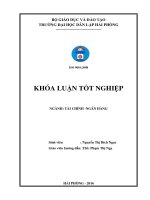 Một số giải pháp nâng cao chất lượng tín dụng tại Ngân hàng Thương mại cổ phần Phương Đông – Chi nhánh Hải Phòng (Khóa luận tốt nghiệp)