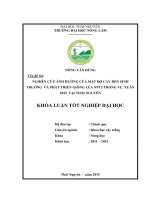 Nghiên cứu ảnh hưởng của mật độ cấy đến sinh trưởng và phát triển của giống lúa NPT3 vụ xuân 2015 tại Thái Nguyên (Khóa luận tốt nghiệp)