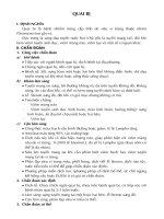 Bệnh quai bị tài liệu y khoa