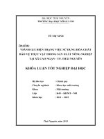 Đánh giá hiện trạng việc sử dụng hóa chất bảo vệ thực vật trong sản xuất nông nghiêp tại xã Cao Ngạn  thành phố Thái Nguyên (Khóa luận tốt nghiệp)