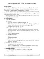 con nhip nhanh tài liệu y khoa