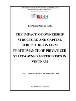 The impact of ownership structure and capital structure on firm performance of privatized state owned enterprises in vietnam 