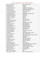 IDIOMS   COLLO   CLOSET 