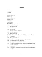 Phát triển dịch vụ ngân hàng điện tử tại ngân hàng TMCP công thương VN – chi nhánh quang minh