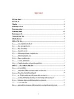 Giải pháp nâng cao chất lượng dịch vụ công ích tại công ty cổ phần môi trường và dịch vụ đô thị vĩnh yên