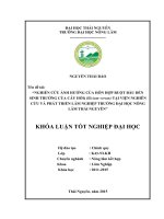 Nghiên cứu ảnh hưởng của hỗn hợp ruột bầu đến sinh trưởng của cây HỒI (Illicium verum) tại Viện Nghiên Cứu và Phát Triển Lâm Nghiệp Trường Đại Học Nông Lâm Thái Nguyên (Khóa luận tốt nghiệp)