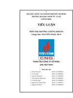 TIỂU LUẬN THỊ TRƯỜNG CHỨNG KHOÁN PHÂN TÍCH CTCP CNG VIỆT NAM