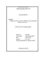 Nghiên cứu xây dựng quy trình sản xuất cốm dinh dưỡng từ rau má (Khóa luận tốt nghiệp)