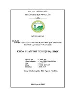 Nghiên cứu các yếu tố ảnh hưởng đến quy trình chế biến giò lụa chay từ váng đậu (Khóa luận tốt nghiệp)