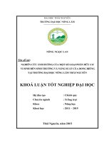 Nghiên cứu ảnh hưởng của một số loại phân hữu cơ vi sinh đến sinh trưởng và năng suất của dong riềng tại trường Đại học Nông Lâm Thái Nguyên (Khóa luận tốt nghiệp)