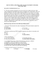 ĐÁP ÁN TIẾNG ANH PHẦN ĐỌC HIỂU THI CÔNG CHỨC QUẢNG NGÃI ĐỢT 2 NĂM 2018