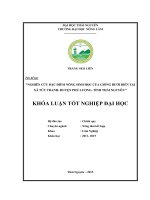 Nghiên cứu đặc điểm nông sinh học của giống bưởi diễn tại xã Tức Tranh  huyện Phú Lương  tỉnh Thái Nguyên (Khóa luận tốt nghiệp)