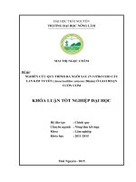 Nghiên cứu quy trình ra ngôi sau in vitro cho cây lan Kim Tuyến Anoectochilus staceus Blume (Khóa luận tốt nghiệp)