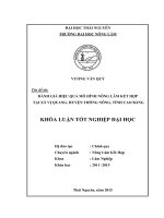 Đánh giá hiệu quả mô hình nông lâm kết hợp tại xã Vị Quang  Huyện Thông Nông  Tỉnh Cao Bằng (Khóa luận tốt nghiệp)